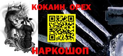 гашик Донской