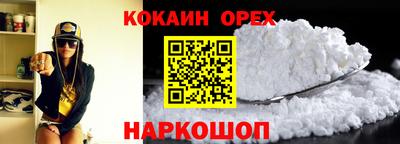 гашик Донской