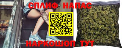 гашик Донской